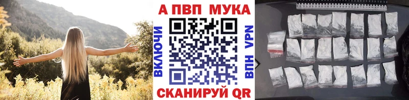 A PVP СК КРИС даркнет официальный сайт Новая Ладога