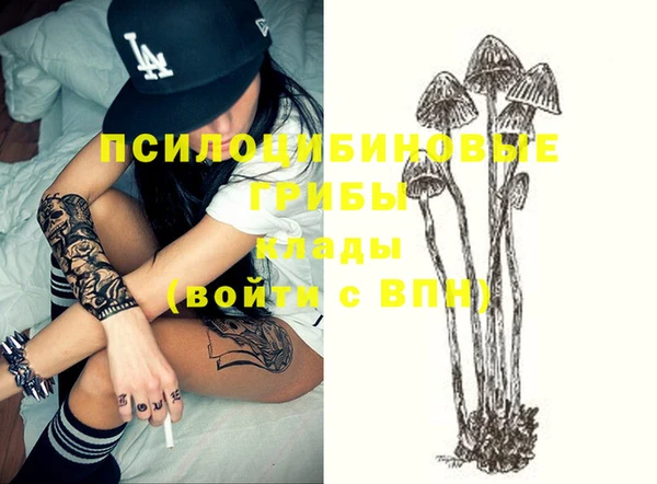 твердый Алексеевка