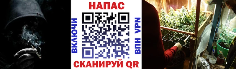 Бошки марихуана THC 21%  Новая Ладога 